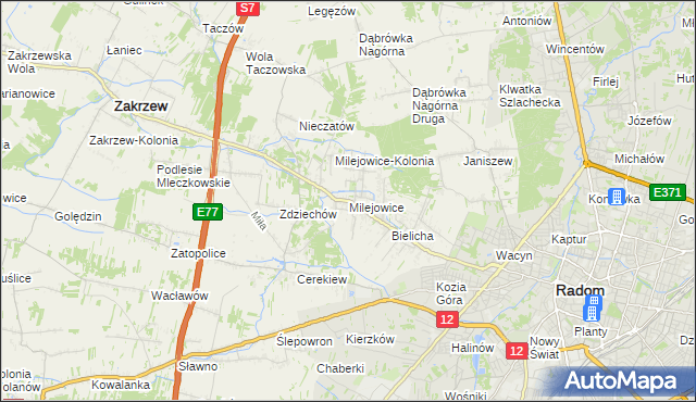 mapa Milejowice gmina Zakrzew, Milejowice gmina Zakrzew na mapie Targeo