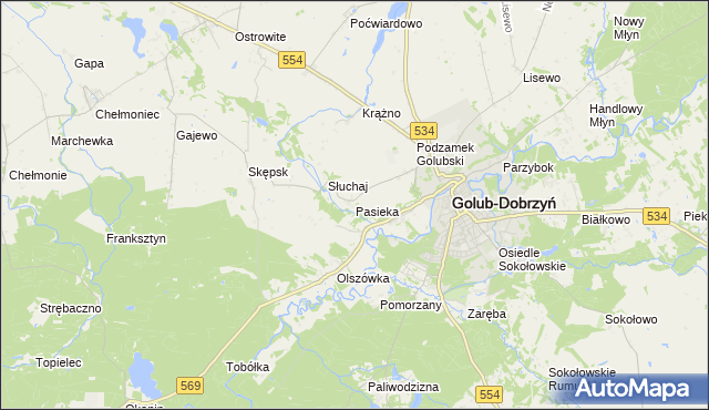 mapa Pasieka gmina Golub-Dobrzyń, Pasieka gmina Golub-Dobrzyń na mapie Targeo