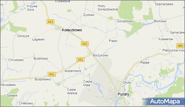 mapa Borzykowo gmina Kołaczkowo, Borzykowo gmina Kołaczkowo na mapie Targeo