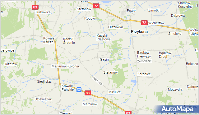 mapa Gąsin, Gąsin na mapie Targeo