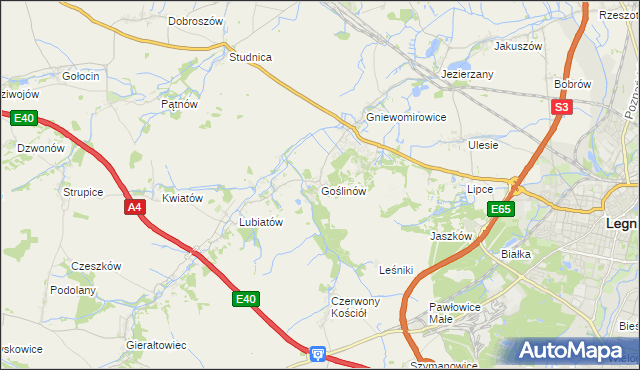 mapa Goślinów, Goślinów na mapie Targeo
