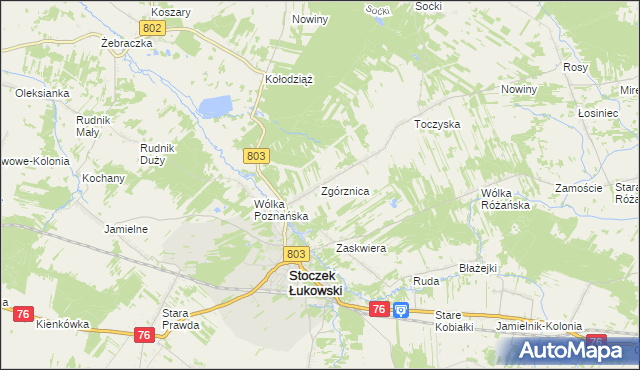 mapa Zgórznica, Zgórznica na mapie Targeo