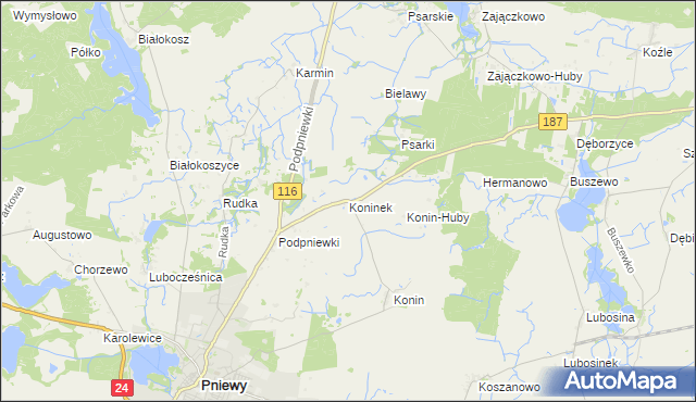 mapa Koninek gmina Pniewy, Koninek gmina Pniewy na mapie Targeo