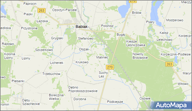 mapa Maliniec gmina Babiak, Maliniec gmina Babiak na mapie Targeo