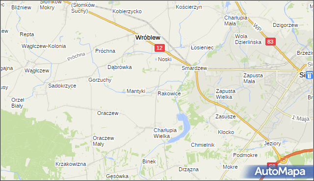 mapa Rakowice gmina Wróblew, Rakowice gmina Wróblew na mapie Targeo
