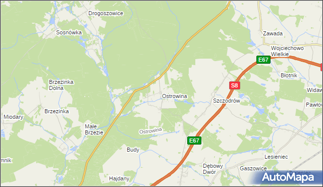 mapa Ostrowina, Ostrowina na mapie Targeo