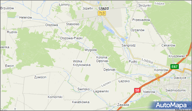 mapa Kolonia Dębniak, Kolonia Dębniak na mapie Targeo