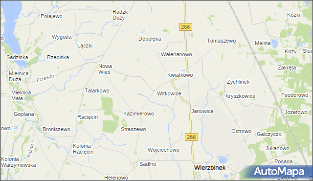 mapa Witkowice gmina Wierzbinek, Witkowice gmina Wierzbinek na mapie Targeo