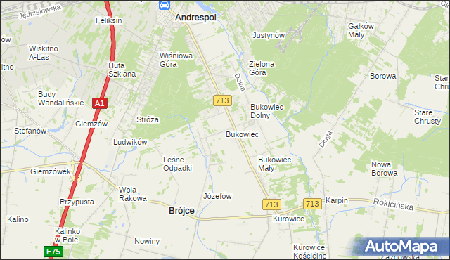 mapa Bukowiec gmina Brójce, Bukowiec gmina Brójce na mapie Targeo