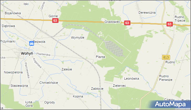 mapa Planta gmina Wohyń, Planta gmina Wohyń na mapie Targeo