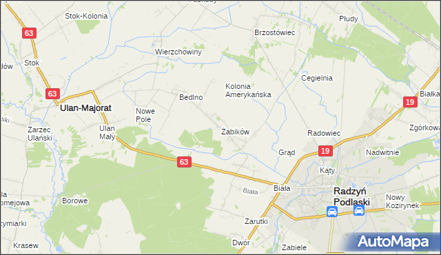 mapa Żabików gmina Radzyń Podlaski, Żabików gmina Radzyń Podlaski na mapie Targeo