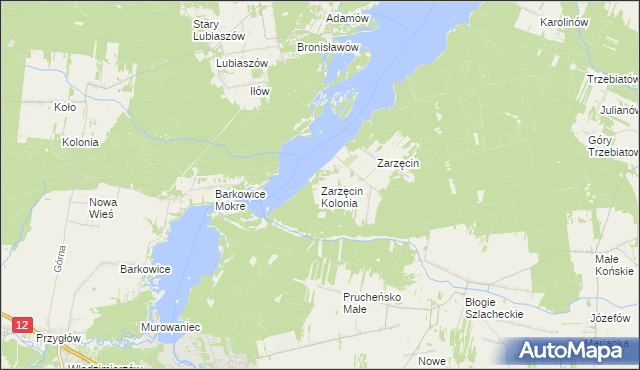 mapa Zarzęcin Kolonia, Zarzęcin Kolonia na mapie Targeo