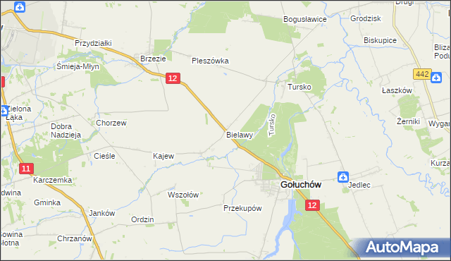 mapa Bielawy gmina Gołuchów, Bielawy gmina Gołuchów na mapie Targeo