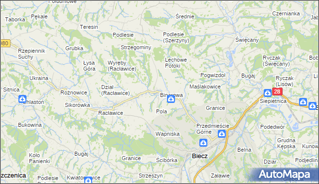 mapa Binarowa, Binarowa na mapie Targeo
