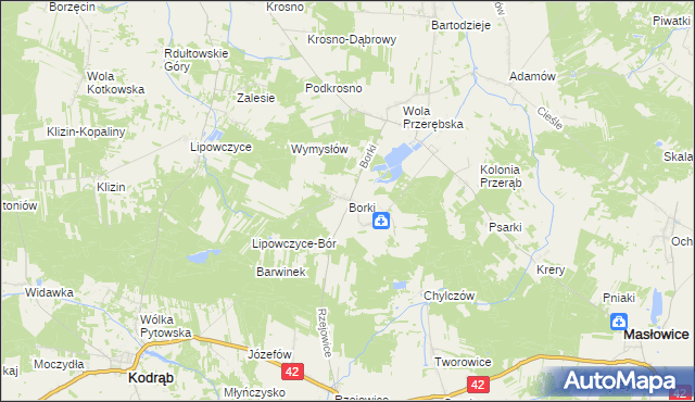 mapa Borki gmina Masłowice, Borki gmina Masłowice na mapie Targeo