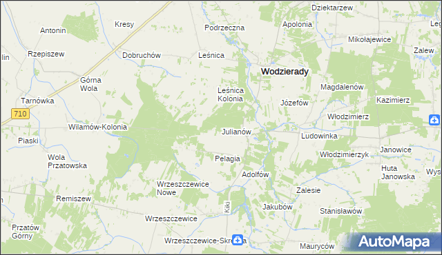 mapa Julianów gmina Wodzierady, Julianów gmina Wodzierady na mapie Targeo