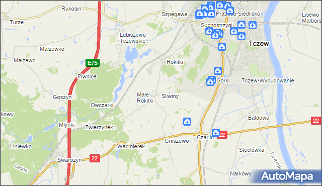 mapa Śliwiny gmina Tczew, Śliwiny gmina Tczew na mapie Targeo