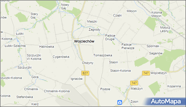 mapa Tomaszówka gmina Wojciechów, Tomaszówka gmina Wojciechów na mapie Targeo
