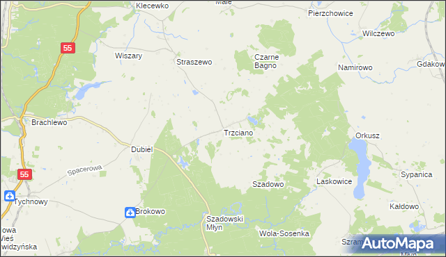 mapa Trzciano gmina Ryjewo, Trzciano gmina Ryjewo na mapie Targeo