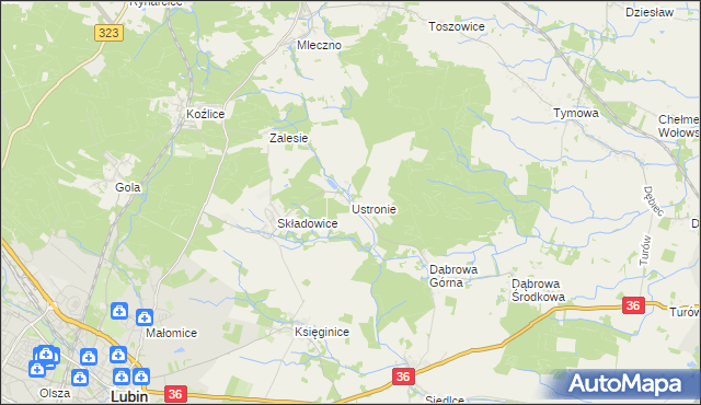 mapa Ustronie gmina Lubin, Ustronie gmina Lubin na mapie Targeo