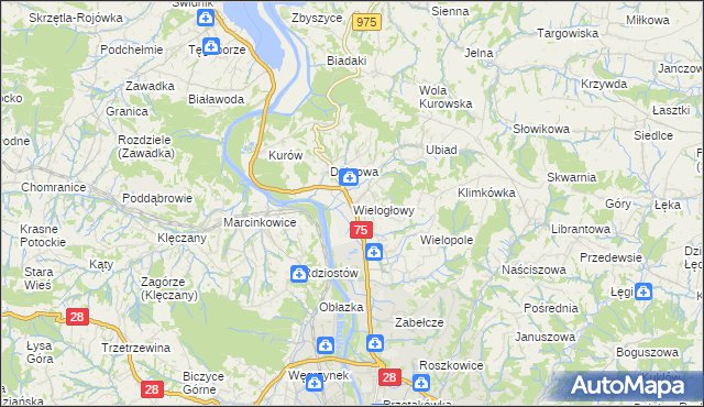 mapa Wielogłowy gmina Chełmiec, Wielogłowy gmina Chełmiec na mapie Targeo