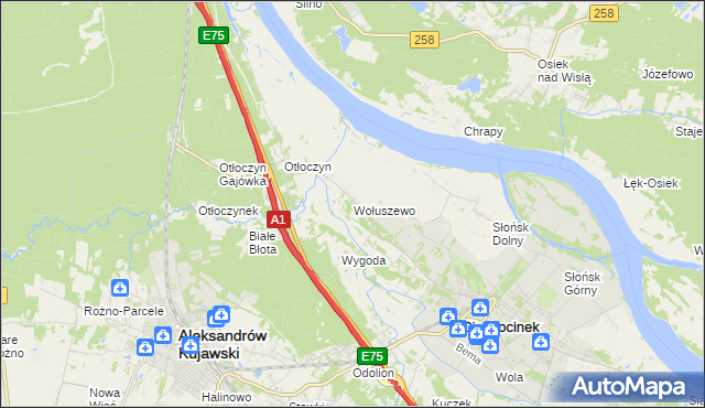 mapa Wołuszewo, Wołuszewo na mapie Targeo