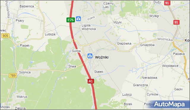 mapa Woźniki powiat lubliniecki, Woźniki powiat lubliniecki na mapie Targeo