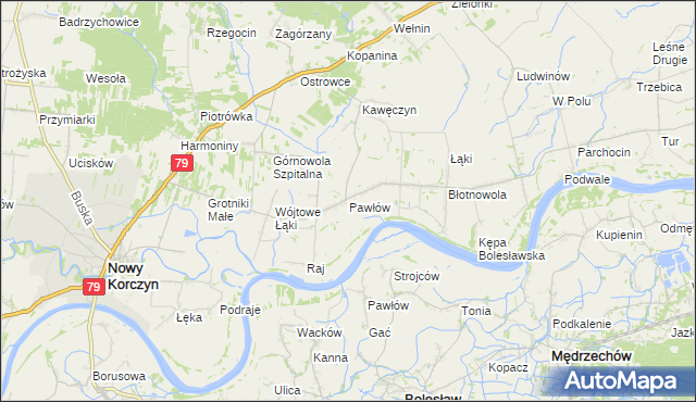 mapa Pawłów gmina Nowy Korczyn, Pawłów gmina Nowy Korczyn na mapie Targeo