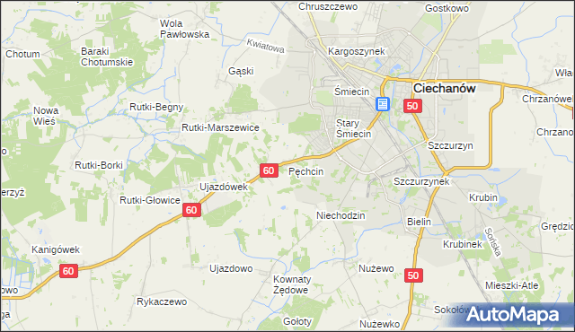 mapa Pęchcin, Pęchcin na mapie Targeo