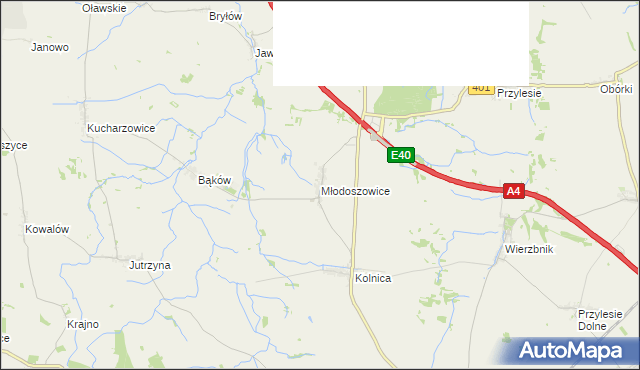 mapa Młodoszowice, Młodoszowice na mapie Targeo