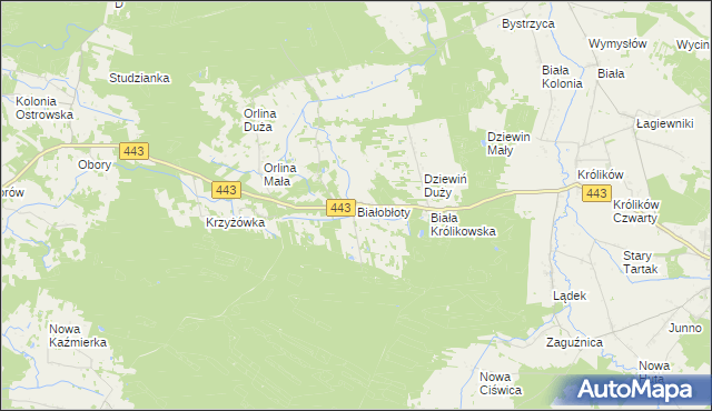 mapa Białobłoty gmina Gizałki, Białobłoty gmina Gizałki na mapie Targeo