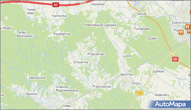 mapa Antoniew gmina Wiskitki, Antoniew gmina Wiskitki na mapie Targeo
