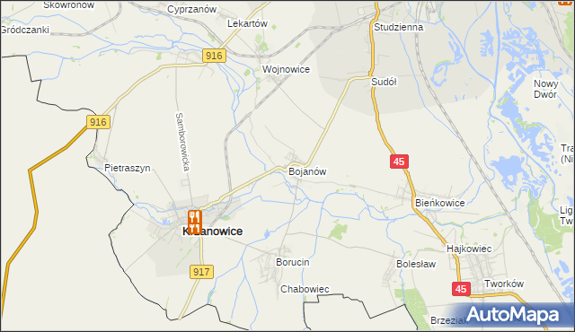 mapa Bojanów gmina Krzanowice, Bojanów gmina Krzanowice na mapie Targeo