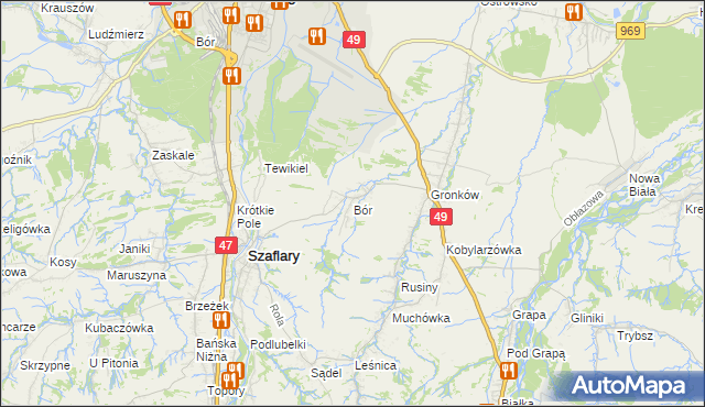 mapa Bór gmina Szaflary, Bór gmina Szaflary na mapie Targeo