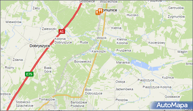 mapa Borowiecko-Kolonia, Borowiecko-Kolonia na mapie Targeo