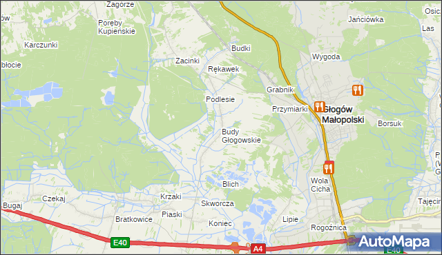 mapa Budy Głogowskie, Budy Głogowskie na mapie Targeo