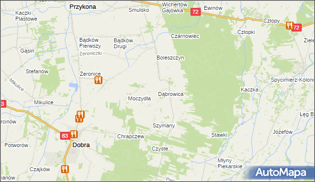 mapa Dąbrowica gmina Dobra, Dąbrowica gmina Dobra na mapie Targeo