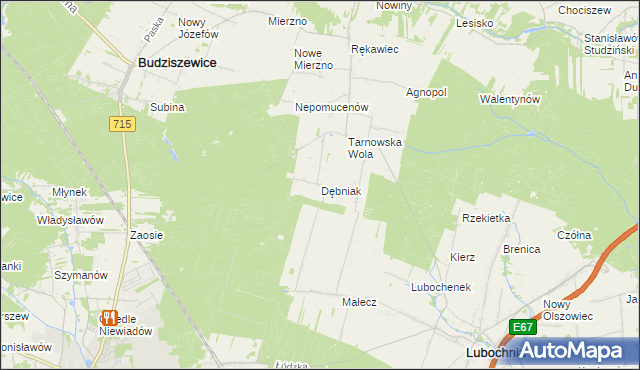 mapa Dębniak gmina Lubochnia, Dębniak gmina Lubochnia na mapie Targeo