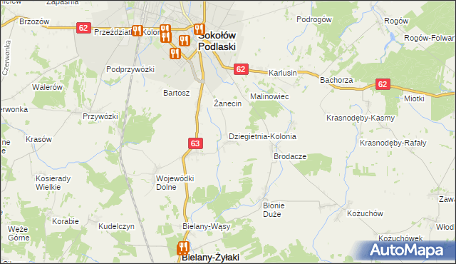 mapa Dziegietnia-Kolonia, Dziegietnia-Kolonia na mapie Targeo