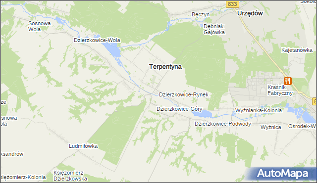 mapa Dzierzkowice-Rynek, Dzierzkowice-Rynek na mapie Targeo