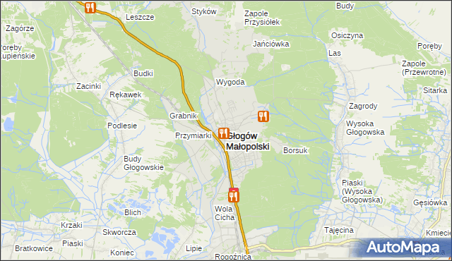 mapa Głogów Małopolski, Głogów Małopolski na mapie Targeo