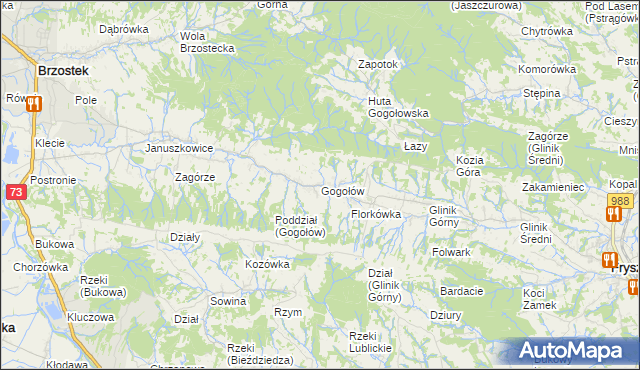 mapa Gogołów gmina Frysztak, Gogołów gmina Frysztak na mapie Targeo