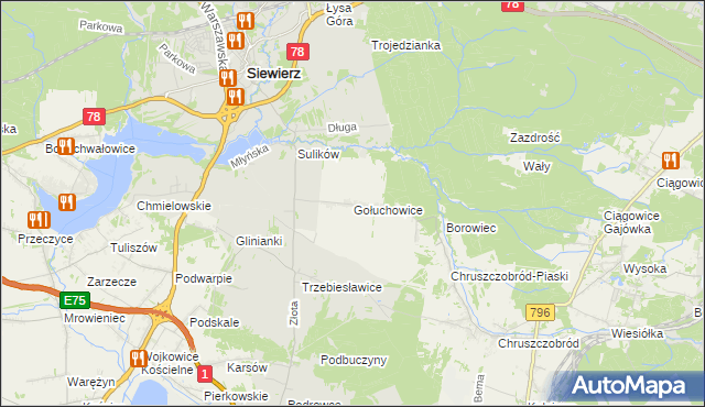 mapa Gołuchowice gmina Siewierz, Gołuchowice gmina Siewierz na mapie Targeo