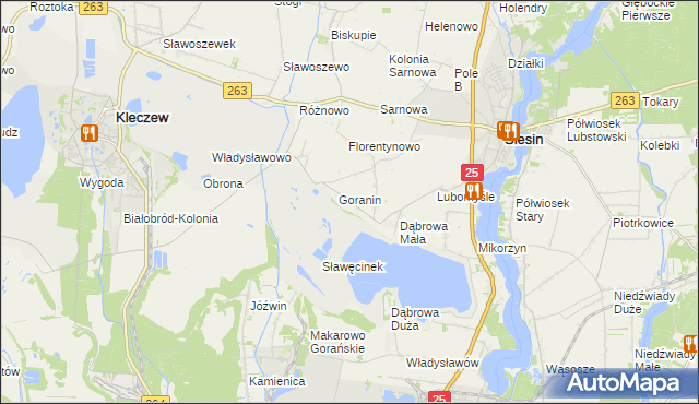 mapa Goraninek gmina Ślesin, Goraninek gmina Ślesin na mapie Targeo