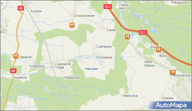 mapa Gronowice gmina Lasowice Wielkie, Gronowice gmina Lasowice Wielkie na mapie Targeo