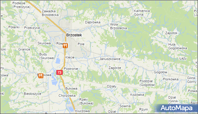 mapa Januszkowice gmina Brzostek, Januszkowice gmina Brzostek na mapie Targeo
