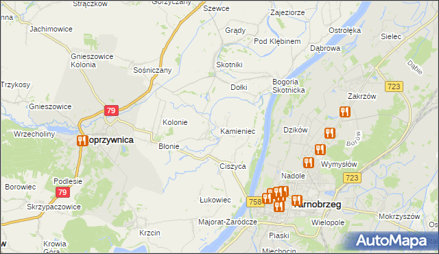 mapa Kamieniec gmina Koprzywnica, Kamieniec gmina Koprzywnica na mapie Targeo