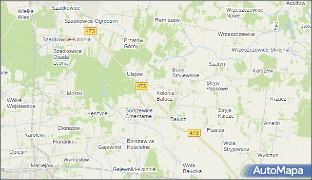 mapa Kolonia Bałucz, Kolonia Bałucz na mapie Targeo