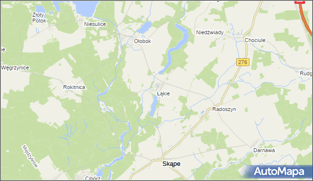 mapa Łąkie gmina Skąpe, Łąkie gmina Skąpe na mapie Targeo