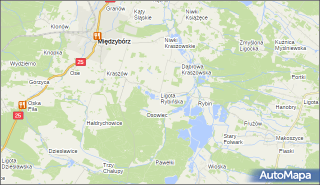 mapa Ligota Rybińska, Ligota Rybińska na mapie Targeo